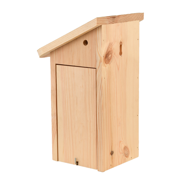 Positiver Blaumeisennistkasten 