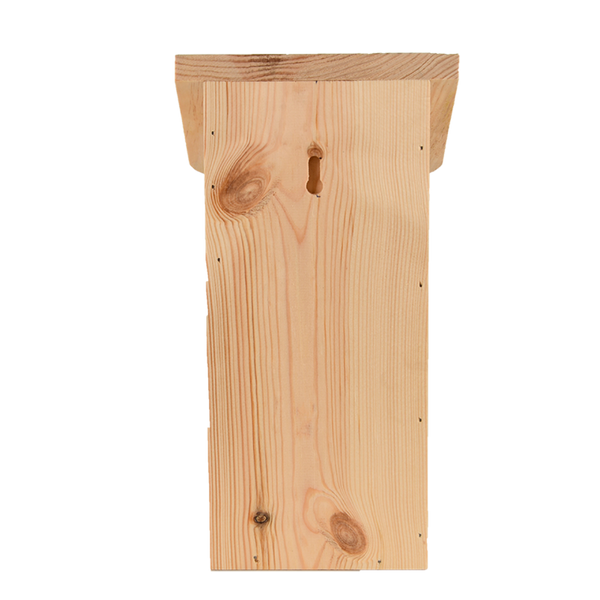 Positiver Blaumeisennistkasten 