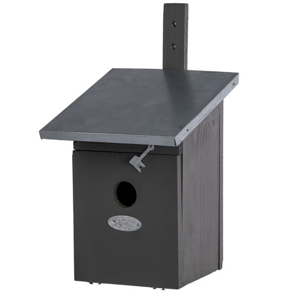 Nistkasten Kohlmeise Grau