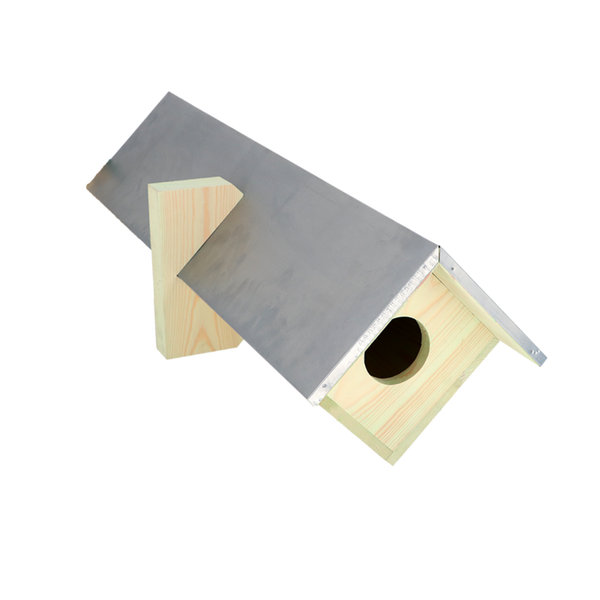 Vogelhaus der kleinen Eule