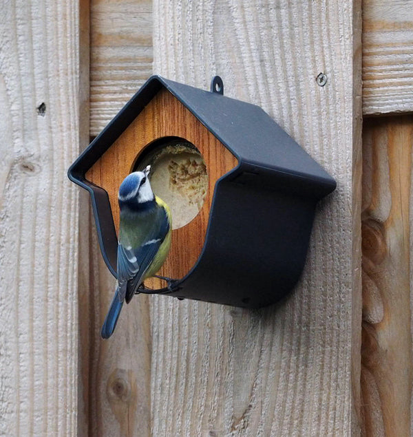 SingingFriend - Erdnussbutterdosenhalter Evie - grau