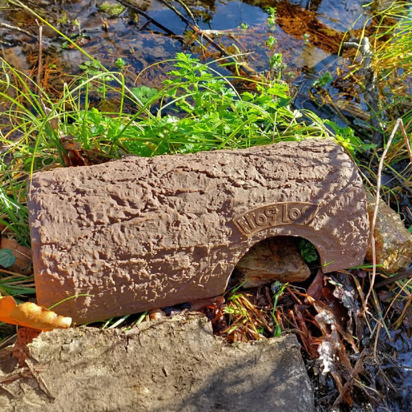 Frog Log schuilplaats voor kikkers – boomstamlook | Wildlife World