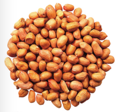 Vogelschutz - Premium Peanuts