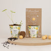 Grow Kit "Hura!" mit Sonnenblumen-Mix-Samenbombe