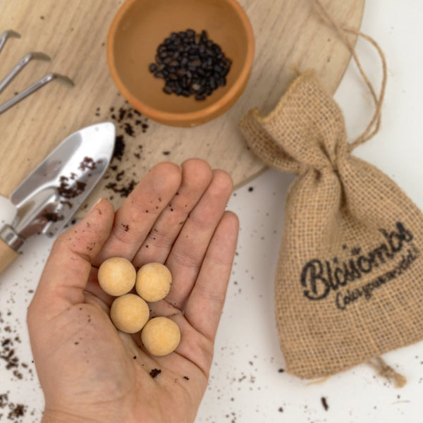 Grow Kit "Hoera!" met Zonnebloem Mix Zaadbommetje