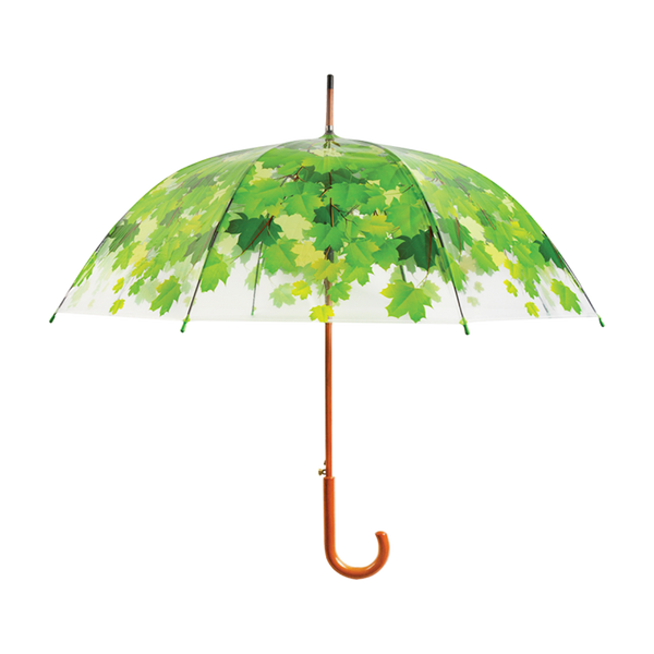 Regenschirm Baumkrone