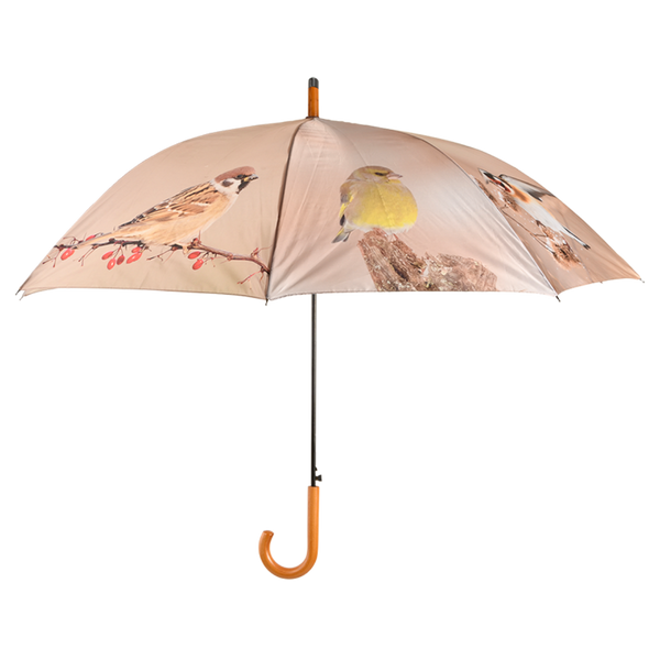 Regenschirm für Wintervögel
