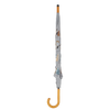 Schirmkatzenrassen