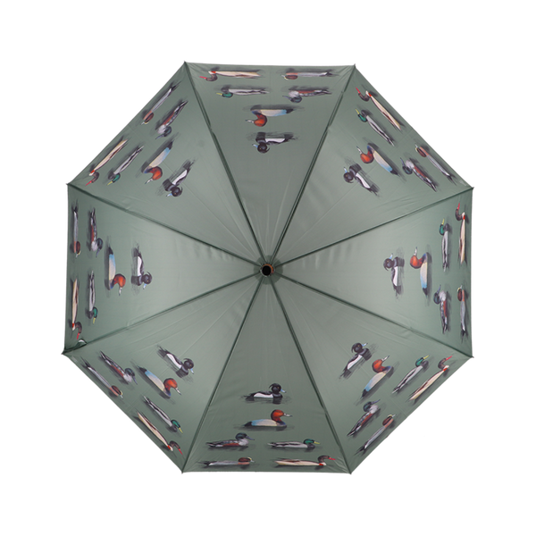 Regenschirmentenrassen