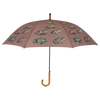 Schirmfroscharten