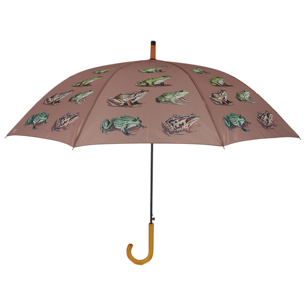 Schirmfroscharten
