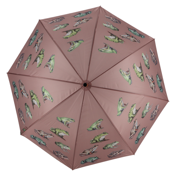 Schirmfroscharten