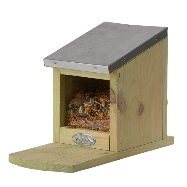 Futterstelle für Eichhörnchen