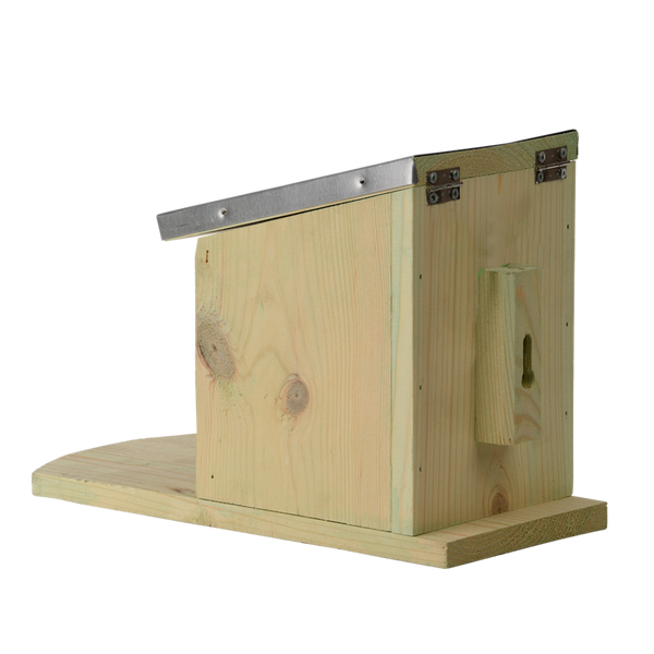 Futterstelle für Eichhörnchen