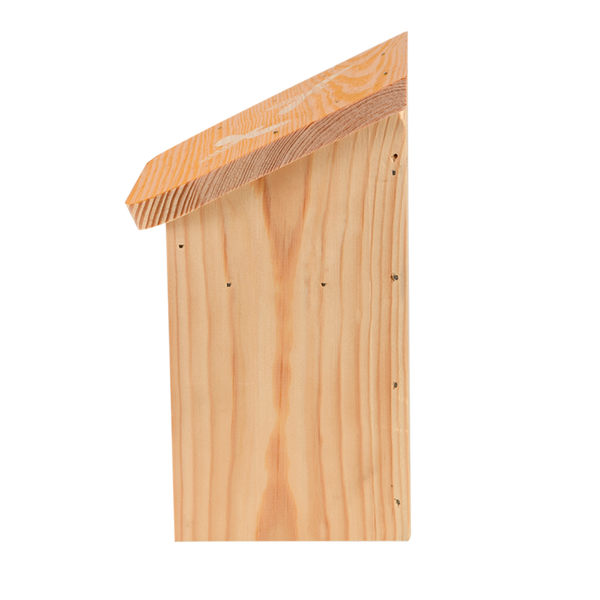 Diapositives Bienenhaus 