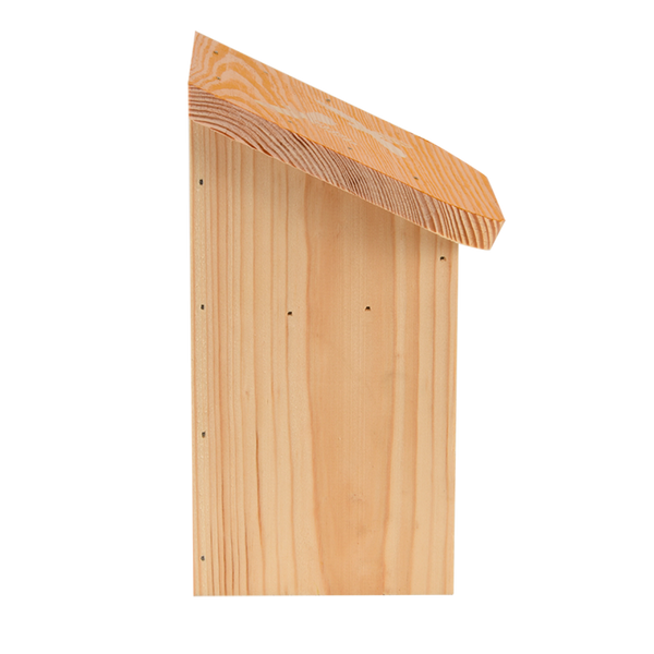 Diapositives Bienenhaus 