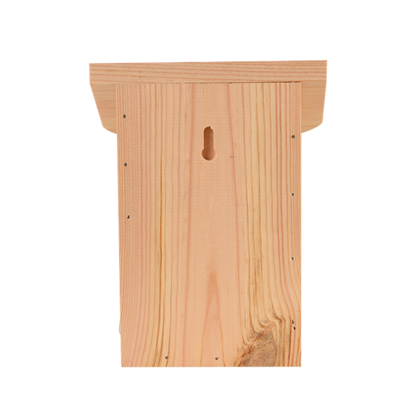 Diapositive Schmetterlingsbox 