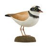 DecoBird - Flussregenpfeifer