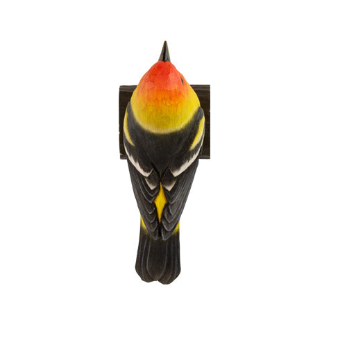 DecoBird - Louisiana-Tangare