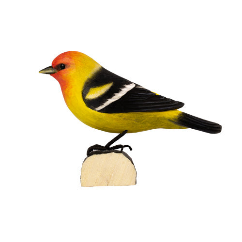 DecoBird - Louisiana-Tangare