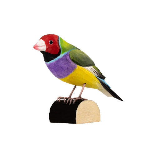 DecoBird - Goulds Fink