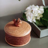 Holzkistenhörnchen 
