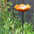 Wilder Mohn roter Vogelhäuschen