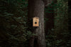 Tarn-Vogelhaus EZ-NestEye mit KI-Kamera