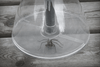 Spider Catcher Bug entfernt