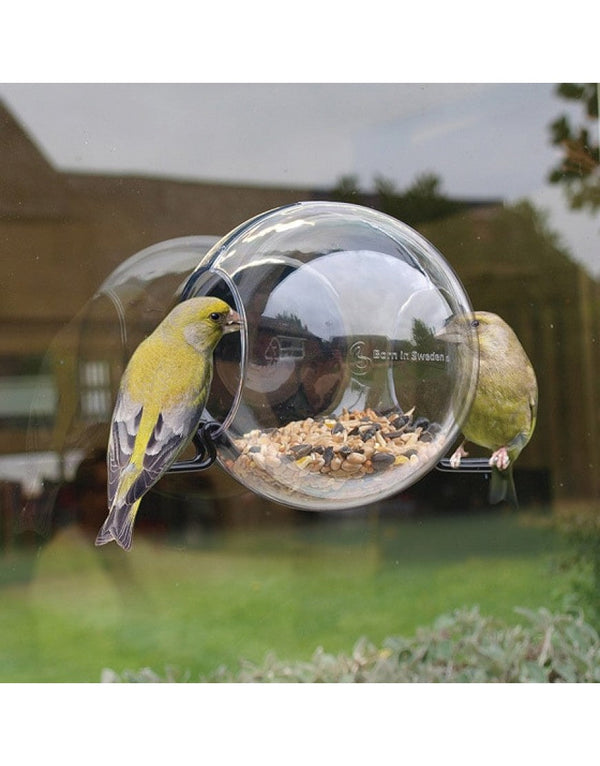 BirdFeeder Fensterfutterspender – Transparenter Fenster-Vogelfutterspender (15 x 10 x 15 cm)