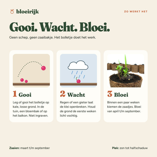 Zo werkt een zaadbom: gooi, wacht, bloei