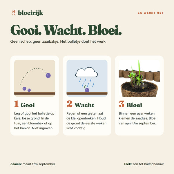 Zo werkt een zaadbom: gooi, wacht, bloei