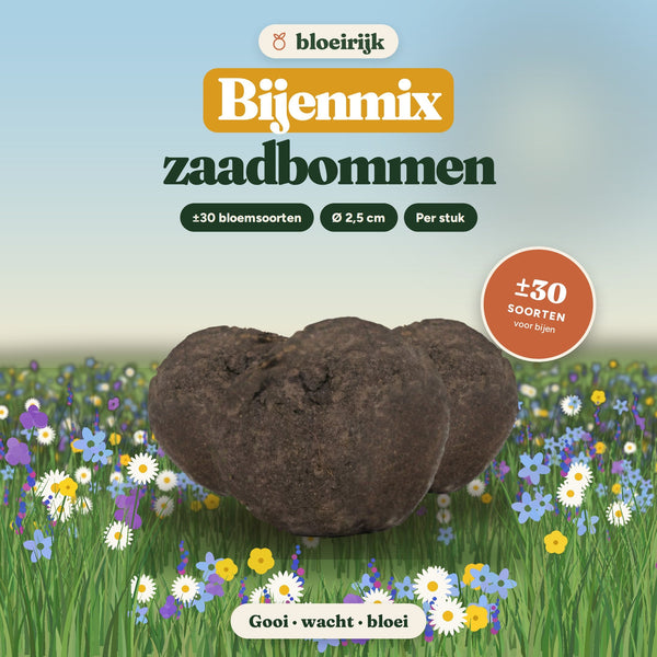 Zaadbommen Bijenmix van bloeirijk in een bloemenweide