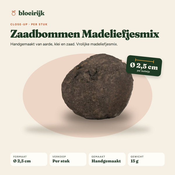 Close-up zaadbom madeliefjesmix, Ø 2,5 cm
