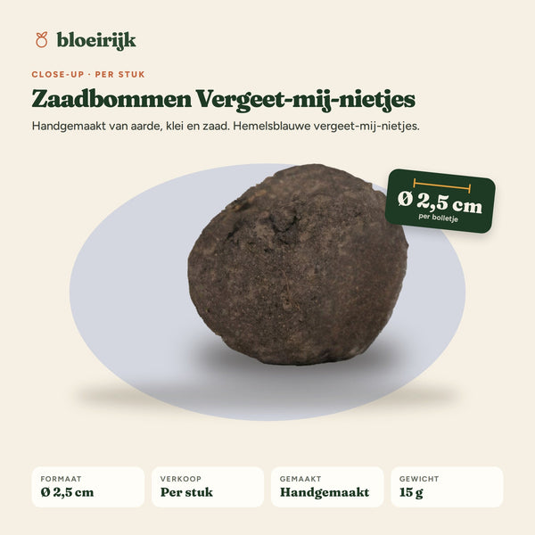 Close-up zaadbom vergeet-mij-nietjes, Ø 2,5 cm