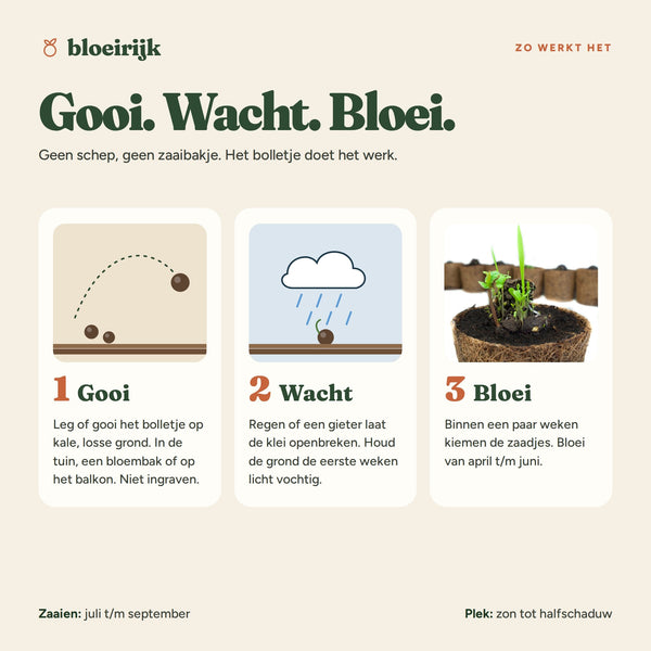 Zo werkt een zaadbom: gooi, wacht, bloei