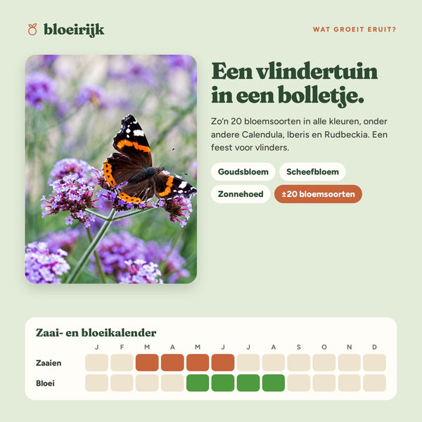 Wat groeit er uit zaadbommen vlindermix, met zaai- en bloeikalender