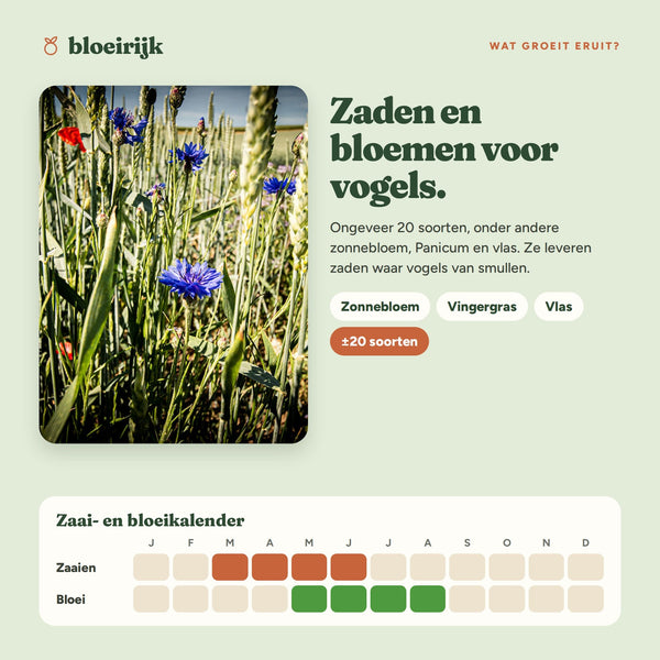 Wat groeit er uit zaadbommen vogelmix, met zaai- en bloeikalender