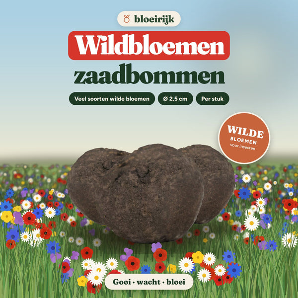 Zaadbommen Wildbloemenmix van bloeirijk in een bloemenweide