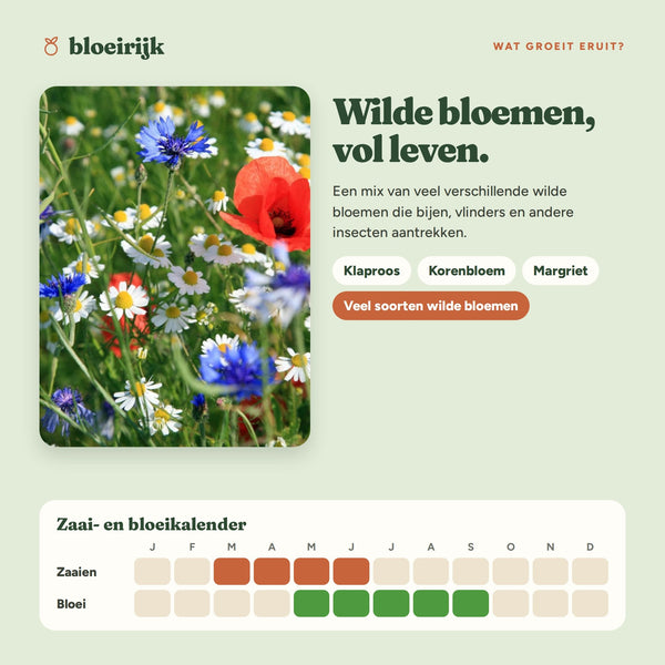 Wat groeit er uit zaadbommen wildbloemenmix, met zaai- en bloeikalender