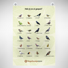 Vogel-Streifen-Poster