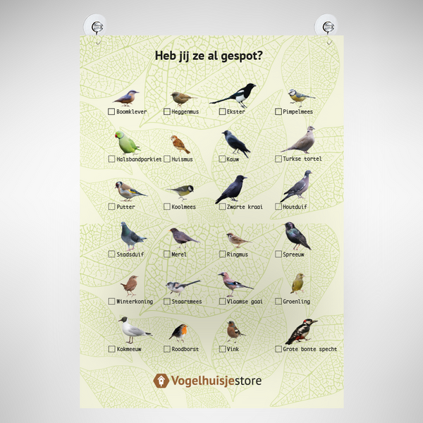 Vogel-Streifen-Poster