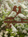 Birdwise - Lovebird-Tauben
