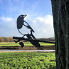 Birdwise - Elster