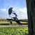 Birdwise - Elster