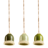 Grüne Futterglocke ass.