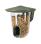 SingingFriend - FeedR transparent dunkelgrün