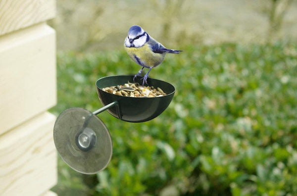Fensterfutter dunkelgrün