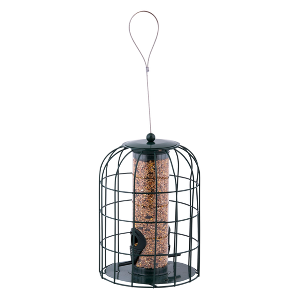 Vogelhäuschen Samensilo Anti-Eichhörnchen