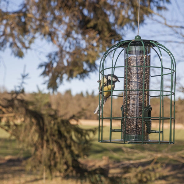 Vogelhäuschen Samensilo Anti-Eichhörnchen
